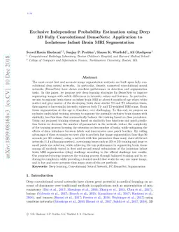 Exclusive Independent Probability Estimation using Deep 3D Fully
  Convolutional DenseNets: Application to IsoIntense Infant Brain MRI
  Segmentation