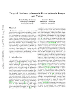 Targeted Nonlinear Adversarial Perturbations in Images and Videos