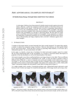 Are adversarial examples inevitable?