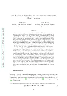 Fast Stochastic Algorithms for Low-rank and Nonsmooth Matrix Problems