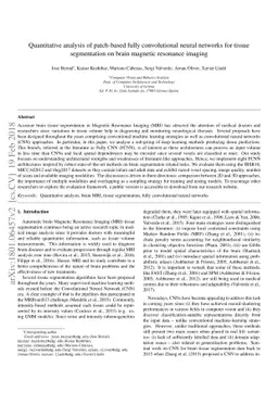 Quantitative analysis of patch-based fully convolutional neural networks
  for tissue segmentation on brain magnetic resonance imaging