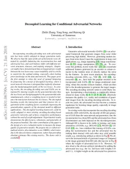 Decoupled Learning for Conditional Adversarial Networks