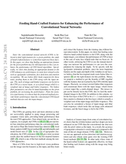 Feeding Hand-Crafted Features for Enhancing the Performance of
  Convolutional Neural Networks