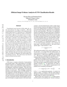Efficient Image Evidence Analysis of CNN Classification Results