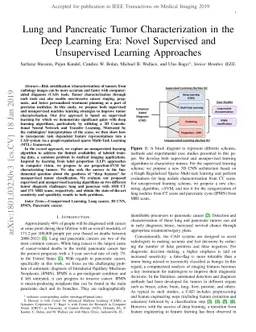 Lung and Pancreatic Tumor Characterization in the Deep Learning Era:
  Novel Supervised and Unsupervised Learning Approaches
