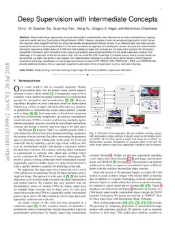 Deep Supervision with Intermediate Concepts
