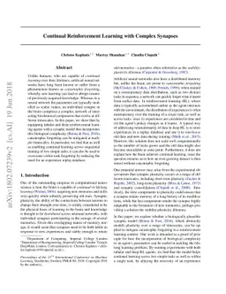 Continual Reinforcement Learning with Complex Synapses