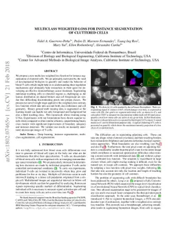 Multiclass Weighted Loss for Instance Segmentation of Cluttered Cells
