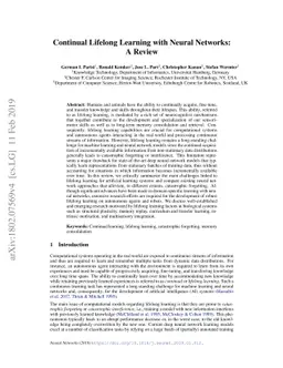 Continual Lifelong Learning with Neural Networks: A Review