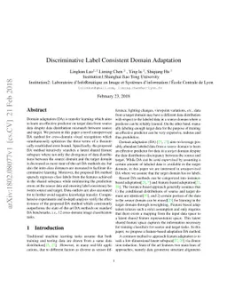 Discriminative Label Consistent Domain Adaptation