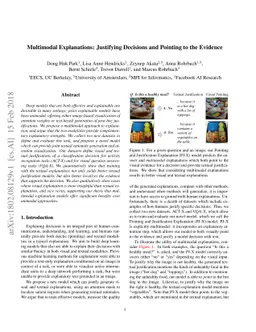 Multimodal Explanations: Justifying Decisions and Pointing to the
  Evidence