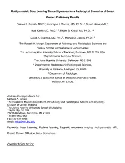 Multiparametric Deep Learning Tissue Signatures for a Radiological
  Biomarker of Breast Cancer: Preliminary Results