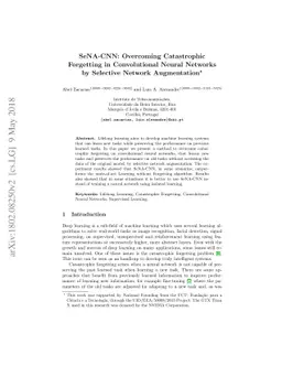 SeNA-CNN: Overcoming Catastrophic Forgetting in Convolutional Neural
  Networks by Selective Network Augmentation