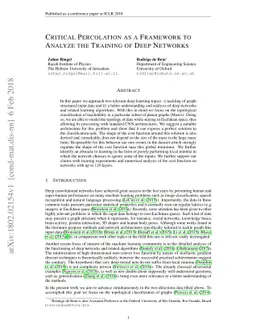 Critical Percolation as a Framework to Analyze the Training of Deep
  Networks