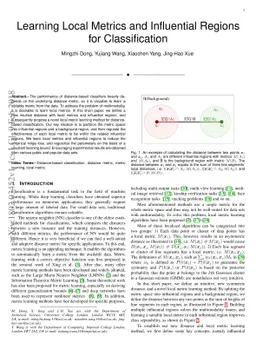 Learning Local Metrics and Influential Regions for Classification