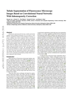 Tubule segmentation of fluorescence microscopy images based on
  convolutional neural networks with inhomogeneity correction