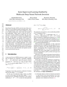 Semi-Supervised Learning Enabled by Multiscale Deep Neural Network
  Inversion