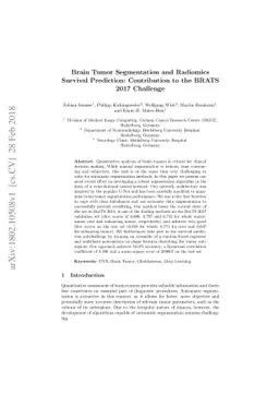 Brain Tumor Segmentation and Radiomics Survival Prediction: Contribution
  to the BRATS 2017 Challenge