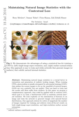 Maintaining Natural Image Statistics with the Contextual Loss
