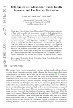 Self-Supervised Monocular Image Depth Learning and Confidence Estimation