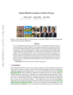 Robust Blind Deconvolution via Mirror Descent