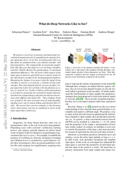 What do Deep Networks Like to See?