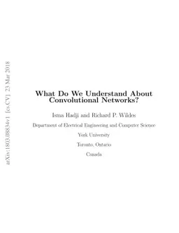 What Do We Understand About Convolutional Networks?