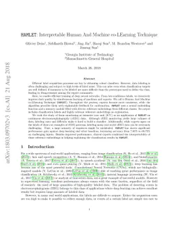 HAMLET: Interpretable Human And Machine co-LEarning Technique