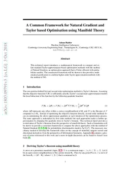 A Common Framework for Natural Gradient and Taylor based Optimisation
  using Manifold Theory