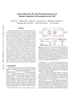 Gotta Adapt Ém All: Joint Pixel and Feature-Level Domain Adaptation for
  Recognition in the Wild