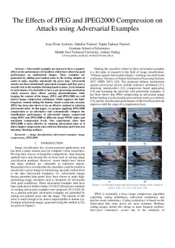 The Effects of JPEG and JPEG2000 Compression on Attacks using
  Adversarial Examples