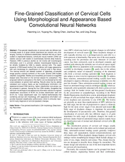 Fine-Grained Classification of Cervical Cells Using Morphological and
  Appearance Based Convolutional Neural Networks