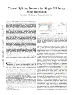 Channel Splitting Network for Single MR Image Super-Resolution