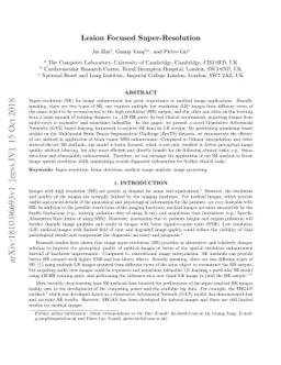 Lesion Focused Super-Resolution