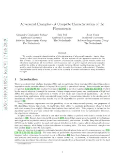 Adversarial Examples - A Complete Characterisation of the Phenomenon