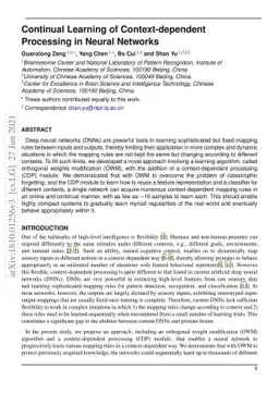 Continual Learning of Context-dependent Processing in Neural Networks
