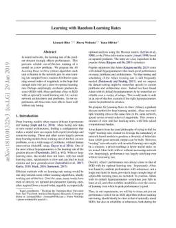 Learning with Random Learning Rates