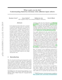 What made you do this? Understanding black-box decisions with sufficient
  input subsets