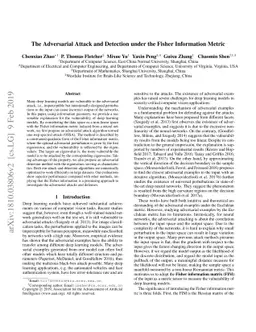 The Adversarial Attack and Detection under the Fisher Information Metric