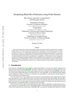 Interpreting Black Box Predictions using Fisher Kernels
