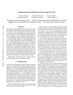 Strategies for Training Stain Invariant CNNs