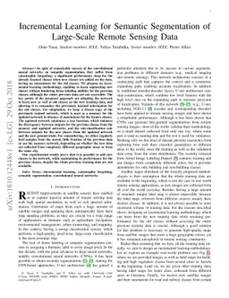 Incremental Learning for Semantic Segmentation of Large-Scale Remote
  Sensing Data