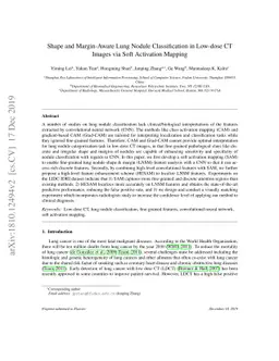 Shape and Margin-Aware Lung Nodule Classification in Low-dose CT Images
  via Soft Activation Mapping
