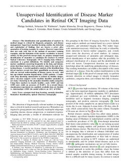 Unsupervised Identification of Disease Marker Candidates in Retinal OCT
  Imaging Data