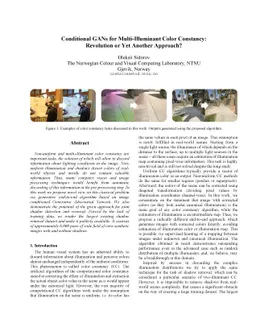 Conditional GANs for Multi-Illuminant Color Constancy: Revolution or Yet
  Another Approach?