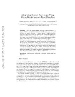 Integrating domain knowledge: using hierarchies to improve deep
  classifiers