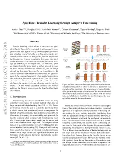 SpotTune: Transfer Learning through Adaptive Fine-tuning