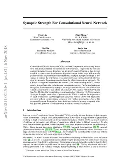 Synaptic Strength For Convolutional Neural Network