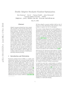 Double Adaptive Stochastic Gradient Optimization