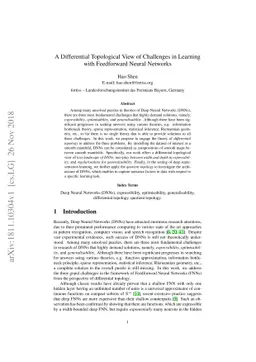 A Differential Topological View of Challenges in Learning with
  Feedforward Neural Networks